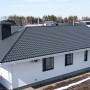 Голландия_NeoMatt_7024